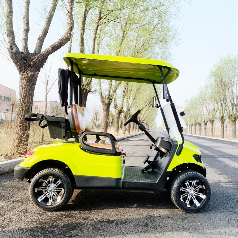 Carrello da Golf Elettrico di  - Luxury Bags Price recensione e prezzo